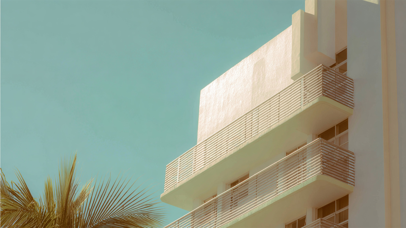 International Expansion: The Miami Experience