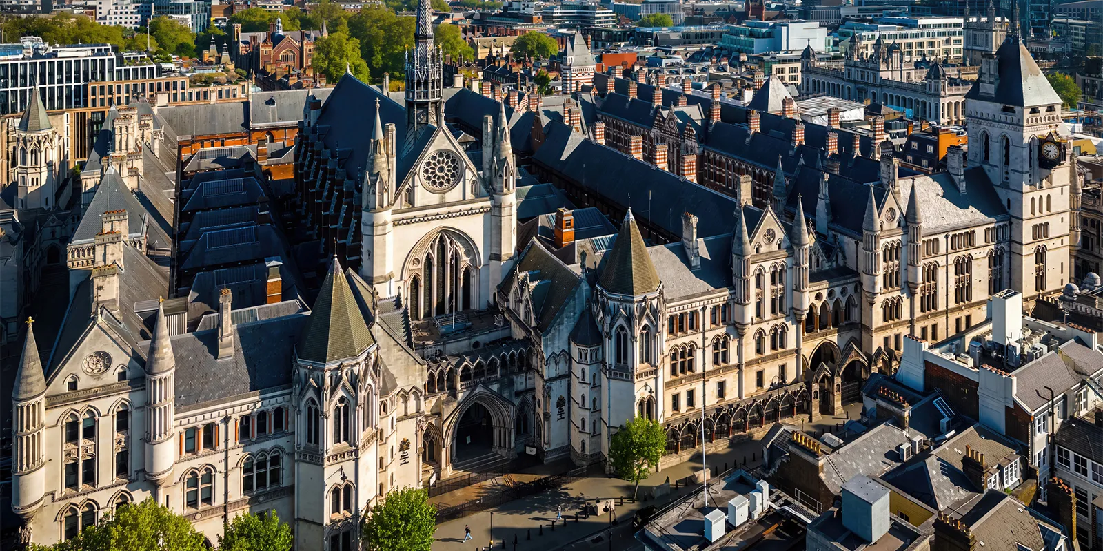 The Rising Influence of Litigators in Today’s Market